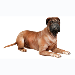 <span class=keywords><strong>Perro</strong></span> Bullmastiff de recuerdo de poliresina personalizado - Product Image 1