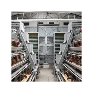 China A Type Laying Coop Wholesale Layer Cage System Manufacturers 920*730*420mm Machine Size 4 Tier Layer Cage
