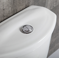 Amaze Factory Vente en gros Meilleures ventes en Afrique du Sud Modèles très demandés Sanitaires en céramique pour salle de bain Toilette à deux pièces