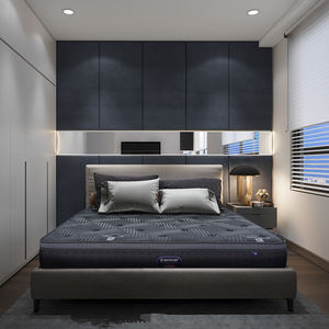 Luxe 5 Sterren <span class=keywords><strong>Canada</strong></span> Hotel Matras Orthopedische Twin King Queen Size Coil Pocket Springbed Matras - Product Image 1