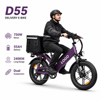 Vélo cargo électrique D55 48V55Ah 750W avec pneus larges de 20 pouces, E-MTB, autonomie de 240 km, vélo électrique OEM en gros