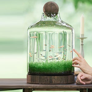 水族館アクセサリーメーカーアートデザイン小型デスクトップ水槽ガラス水槽 - Product Image 2