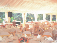Tente d'événement en PVC blanc durable et stable romantique de luxe bon marché de Chine pour banquet de mariage en plein air pour 500 personnes à vendre