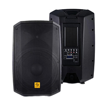 2023 nouveau! PXF15-HM350B haut-parleurs système audio haut-parleurs audio professionnel bluetooth