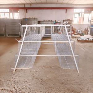 Nouvelle cage à poulets de type A avec système d'alimentation et d'abreuvement automatiques, en acier galvanisé, garantie de 2 ans, vente directe d'usine - Product Image 2