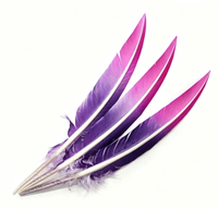 Plume de dinde teinte coupée en forme de flèche pour artisanat, coiffes, chapeaux, costumes, accessoires de cosplay, bibelots, décorations de fête et de carnaval