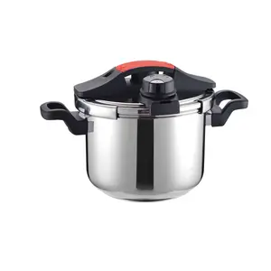 High quality stainless steel suits Pressure Cooker non electric with OEM design service