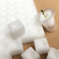 Éponges de culture hydroponique pour la culture hydroponique