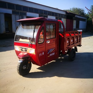 Mototaxi de Pasajeros Totalmente Cerrado, Triciclo de Motor de Tres Ruedas, Motocicleta <span class=keywords><strong>Taxi</strong></span> de Gasolina con Carrocería Cerrada - Product Image 2