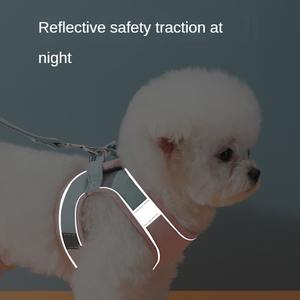 Mascota Gato Universal Lindo Pecho Correa - Product Image 2