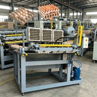 Güvenilir PLC Kontrollü Yumurta Tepsisi Makinesi, Elma Tepsisi ve Bardak Tepsisi Çok Amaçlı Kullanım İçin