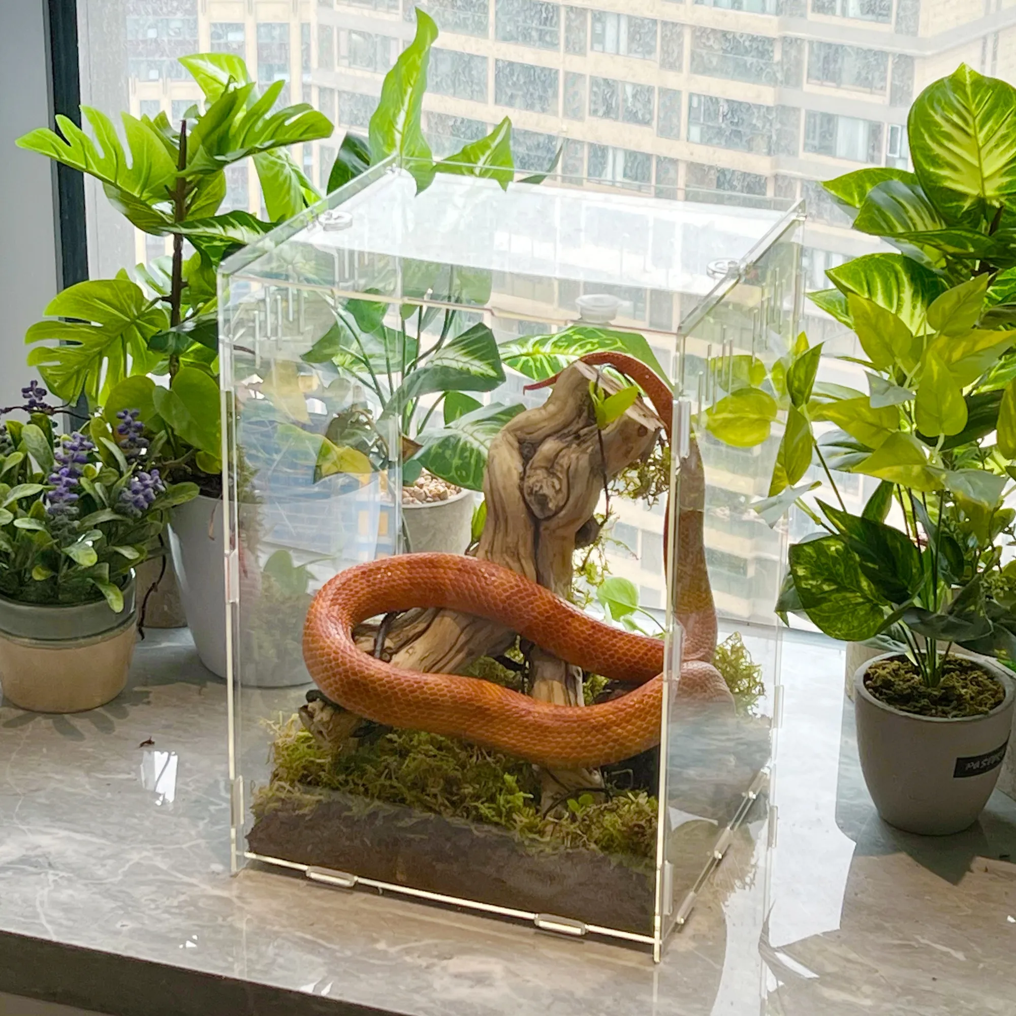 Özel el yapımı akrilik sürüngen pet kutusu kapaklı hayvanlar için rahat bir ortam oluşturur