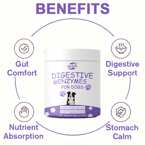 Poudre d'enzymes digestives OEM/ODM très vendue pour chiens, poudre d'enzymes pour la digestion des croquettes et du pancréas, favorise l'absorption des nutriments - Product Image 3
