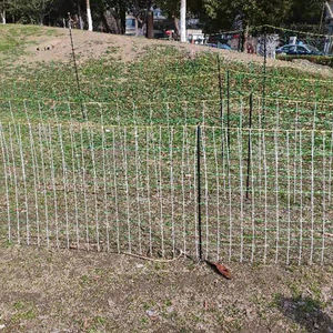 <span class=keywords><strong>Filet</strong></span> de <span class=keywords><strong>volaille</strong></span> <span class=keywords><strong>électrique</strong></span> m, clôture de mouton - Product Image 4