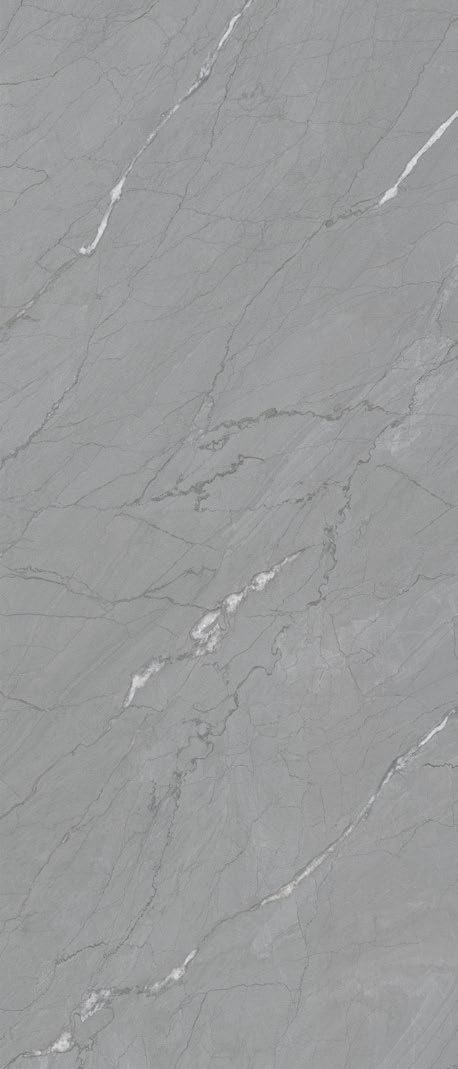 Baudis Gris