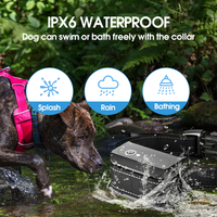 Großhandel Hochwertige Vibration Wasserdichtes wiederauf lad bares Shock Dog Trainings halsband mit Fernbedienung