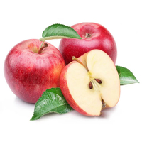 Vente en gros de poudre de pectine de pomme de qualité alimentaire en vrac 124843