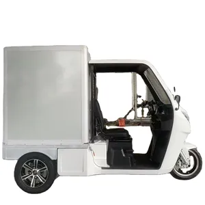 Heated Food Delivery Box Electric 12v Van EEC Pizza Scooter Cargo Electric Delivery Tricycle Manufacturers