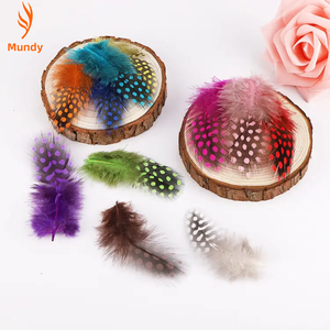 Plumas <span class=keywords><strong>de</strong></span> <span class=keywords><strong>Gallina</strong></span> <span class=keywords><strong>de</strong></span> <span class=keywords><strong>Guinea</strong></span> Teñidas <span class=keywords><strong>de</strong></span> 2-4 Pulgadas, Coloridas, Personalizadas, <span class=keywords><strong>de</strong></span> Excelente Calidad y <span class=keywords><strong>Precio</strong></span> Económico, para Decoración <span class=keywords><strong>de</strong></span> Fiestas - Product Image 1
