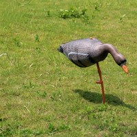 Décoy de chasse personnalisé en EVA flottant pour l'extérieur, leurre en mousse plastique tacheté pour oies, décoy flottant pour la chasse aux oies