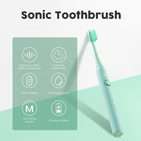 Brosse à dents électrique sonique rechargeable Modes à 3 vitesses Type-C Chargement USB IPX7 Étanche Idéal pour les voyages