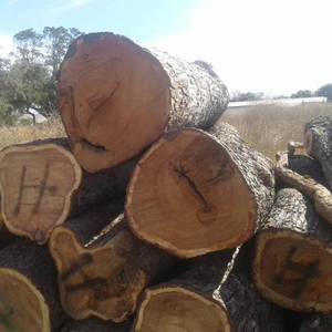Vaneer White Oak Timber <b>Logs</b> for Construction and Outdoor Use High Quality <b>Wood</b> for Various Applications - Product Image 1