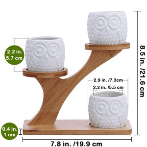 <span class=keywords><strong>Macetas</strong></span> suculentas <span class=keywords><strong>de</strong></span> búho <span class=keywords><strong>de</strong></span> cerámica decorativas, soporte para platillos <span class=keywords><strong>de</strong></span> bambú <span class=keywords><strong>de</strong></span> 3 niveles, planta <span class=keywords><strong>de</strong></span> flores <span class=keywords><strong>de</strong></span> cerámica decorativa moderna blanca, 3 uds. - Product Image 3