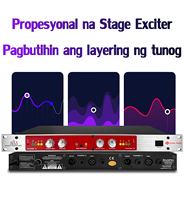 GAX-882i Excitador de Sonido Profesional para Actuaciones en Escenario Sistema de Altavoces para Exteriores KTV Karaoke DJ Maximizador de Sonido