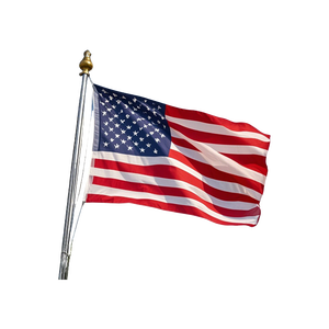 पेशेवर dp शिपिंग एजेंट सेवा समुद्री माल ढुलाई चीन को अमेरिकी कनाडा के लिए समुद्री माल ढुलाई फॉरवर्डर - Product Image 1