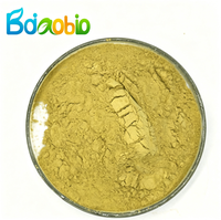 Extrait Herbacé Naturel de Sophora Japonica de Qualité Alimentaire Supérieure, Poudre de Quercétine à 98% par Extraction par Solvant, Emballage Sous Vide