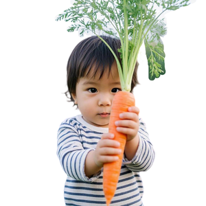 <span class=keywords><strong>New</strong></span> Mùa Tươi Trung Quốc Rau Màu Đỏ Vàng Tươi Cà rốt Giá Rẻ Giá Mỗi Tấn Hành Tây Sản Xuất Từ Trung Quốc - Product Image 1