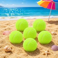 Lot de 6 balles de tennis d'entraînement certifiées ITF - Matériau en caoutchouc à haute élasticité, jouet pour animaux de compagnie