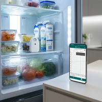 Enregistreur de données intelligent sans fil de température et d'humidité avec capteur BLE pour réfrigérateur et stockage alimentaire