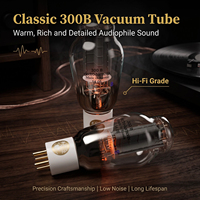 Tube à vide EH 300B GOLD, paires assorties en usine avec broches et grille plaquées or, triode de puissance à chauffage direct pour amplificateur à tubes Hi-Fi