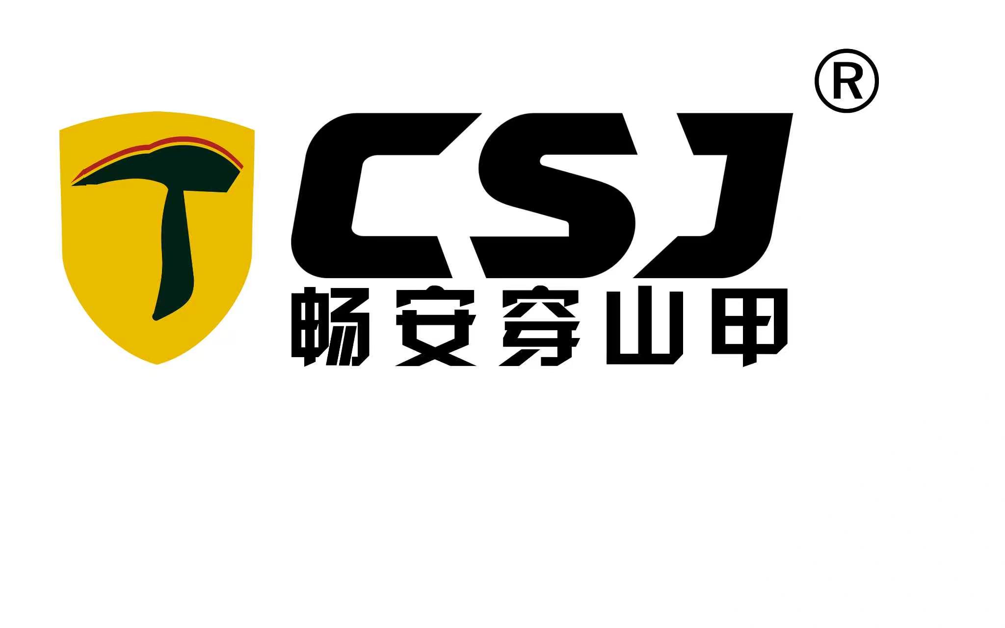 Sichuan Chang'an Chuanshanjia Technology Co., Ltd. logo