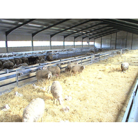 Casa Prefabricada de Metal para Granja Caprina
