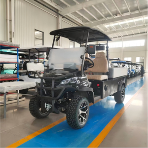 HKBG 2026 Electric Cargo <b>Box</b> Golf Cart - Product Image 3