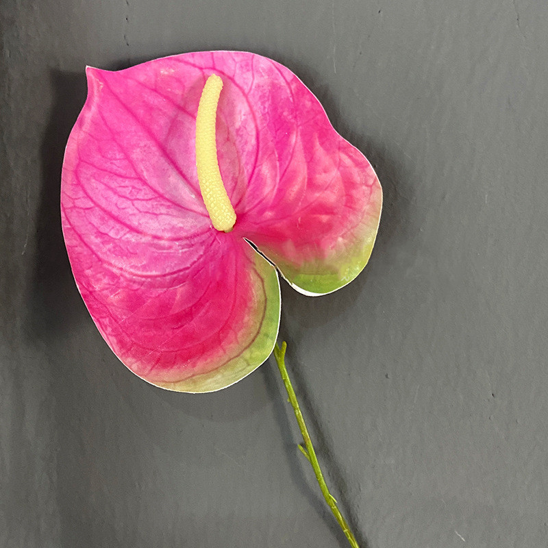 #12 chaude Rose fleur