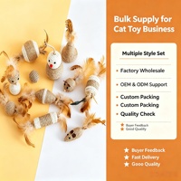 Ensemble de jouets pour chat en sisal naturel avec queue en plumes, souris, oiseau, balle, jouets interactifs à mâcher et à gratter pour chats d'intérieur et chatons