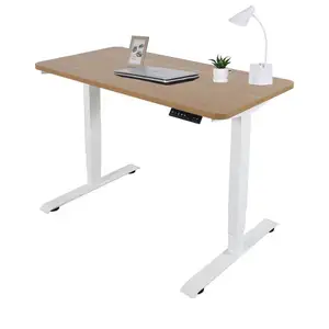 Động cơ kép có thể điều chỉnh bàn văn phòng với máy tính để bàn lớn Ergonomic đứng bàn điện chơi game Bàn máy tính cho ông chủ điều hành