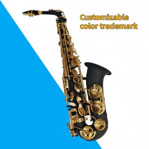 Saxophone alto en mi bémol en laiton laqué noir, résistant à la rouille, instrument <span class=keywords><strong>de</strong></span> haute qualité, directement <span class=keywords><strong>de</strong></span> l'usine - Product Image 2