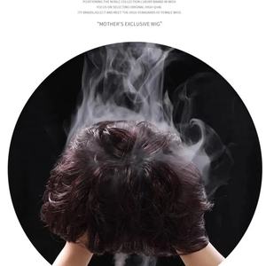 Perruque de tête complète aux cheveux courts d'apparence naturelle pour les femmes d'âge moyen et les personnes âgées, cheveux bouclés courts, couverture complète de la tête - Product Image 6