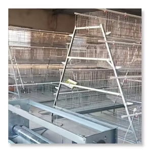 Cage de poulet de <span class=keywords><strong>poule</strong></span> de volaille et système d'eau pour 10000 oiseaux aménagement de conception de ferme de volaille au Ghana - Product Image 3