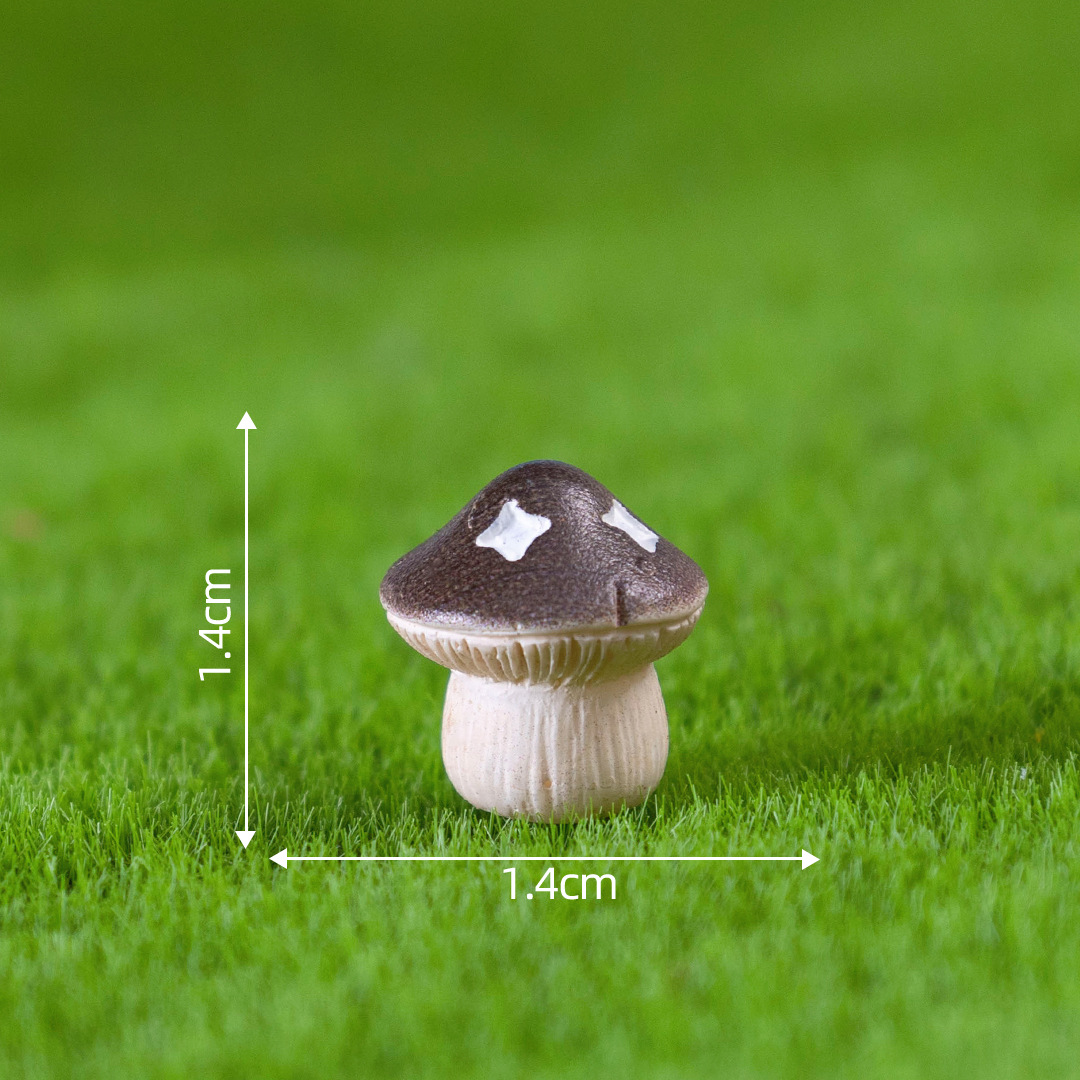 Champignon brun numéro deux