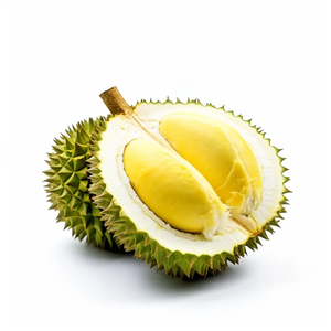 Поставка высококачественного порошка дуриана пищевой натуральный фруктовый порошок дуриана по лучшей цене - Product Image 3