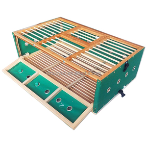 TUOYUN meilleure vente fermes d'élevage course cage en bois de <span class=keywords><strong>pigeon</strong></span> - Product Image 6