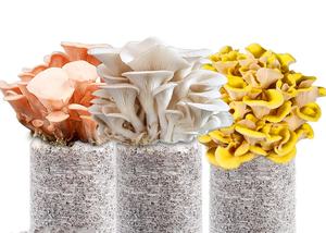 Système <span class=keywords><strong>de</strong></span> contrôle des applications agricoles Cabine verticale <span class=keywords><strong>de</strong></span> plantation intelligente Chunsheng - Product Image 4