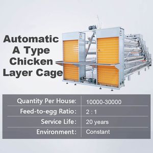 Nouvel équipement d'élevage avicole, <span class=keywords><strong>cage</strong></span> à poules pondeuses automatique à batterie de type A à 4 niveaux, galvanisée à chaud - Product Image 6