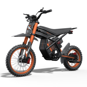 Ridingtimes USA : Stock disponible en entrepôt pour les États-Unis (2000W) et l'UE (250W) - Moto tout-terrain GT54 - Product Image 2