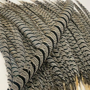 Plumas <span class=keywords><strong>de</strong></span> <span class=keywords><strong>Cola</strong></span> <span class=keywords><strong>de</strong></span> Faisán Zebra Blancas Naturales <span class=keywords><strong>de</strong></span> 90-100 cm, 36-40 Pulgadas, al por Mayor, para Decoración <span class=keywords><strong>de</strong></span> Disfraces <span class=keywords><strong>de</strong></span> Carnaval y Samba - Product Image 1